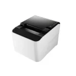 فیش پرینتر تایسو PRP-250