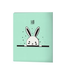 کلیربوک 80 فایل پاستلی A4